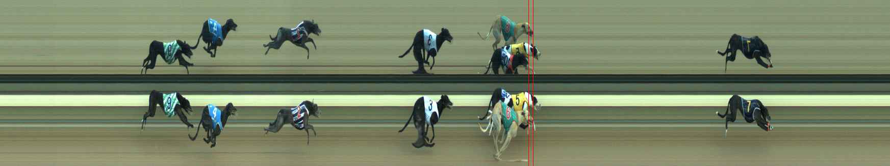 Photo finish for Warragul Race 5