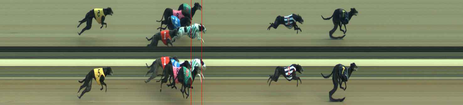 Photo finish for Warragul Race 6
