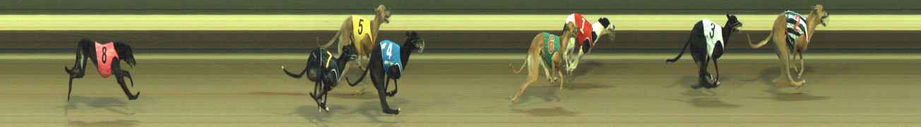 Photo finish for Warragul Race 8