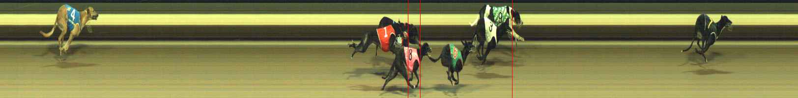Photo finish for Warragul Race 9