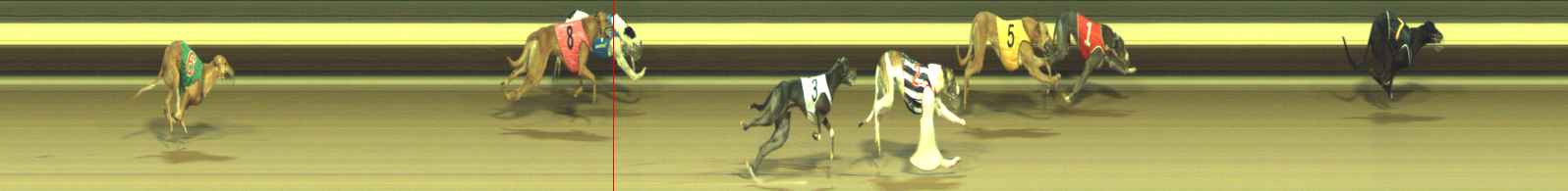 Photo finish for Warragul Race 11
