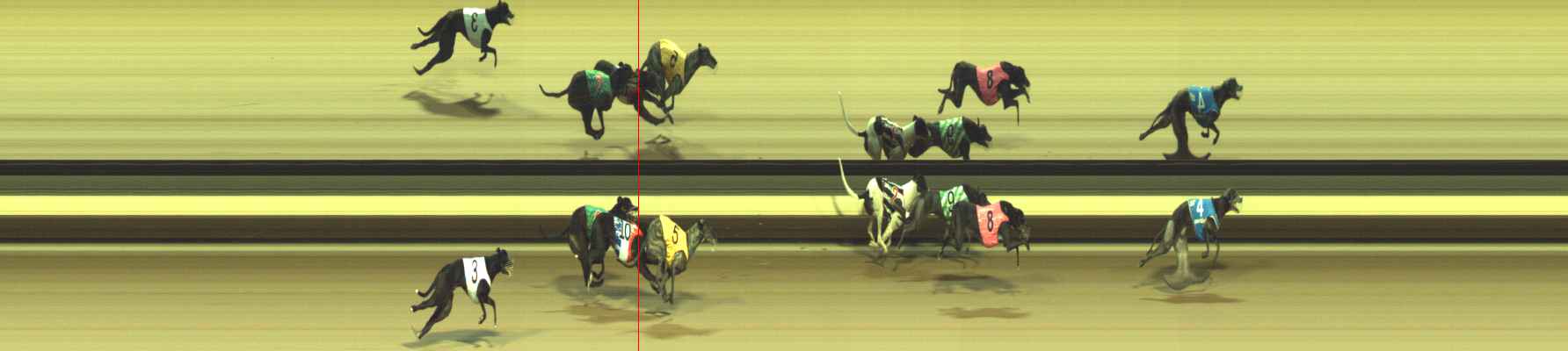 Photo finish for Warragul Race 12