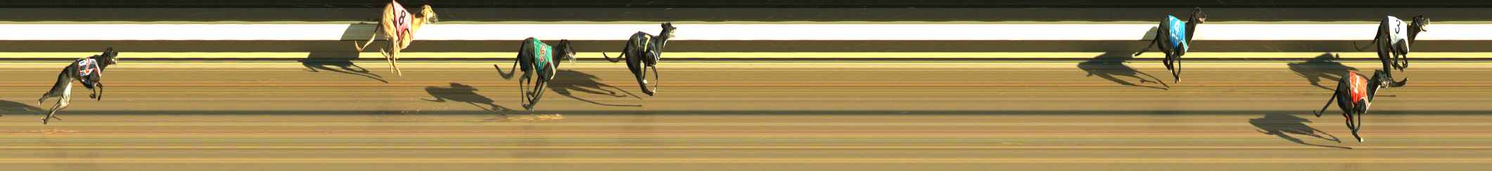 Race result finish photo