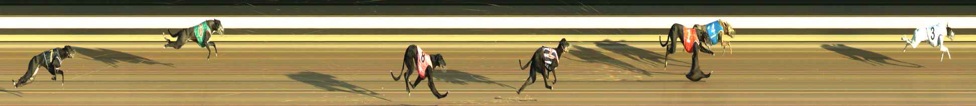 Photo finish for Warragul Race 3