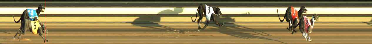 Photo finish for Warragul Race 4