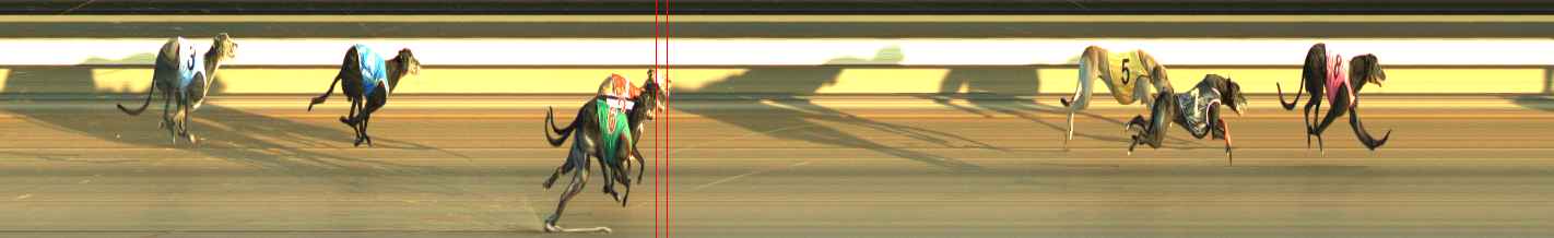 Photo finish for Warragul Race 5