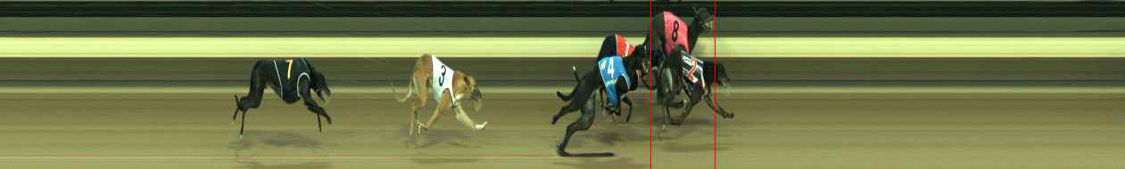 Photo finish for Warragul Race 6