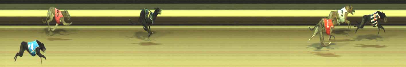 Photo finish for Warragul Race 8