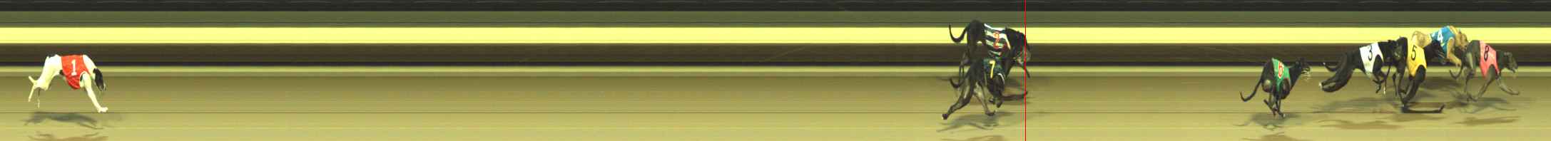 Photo finish for Warragul Race 9