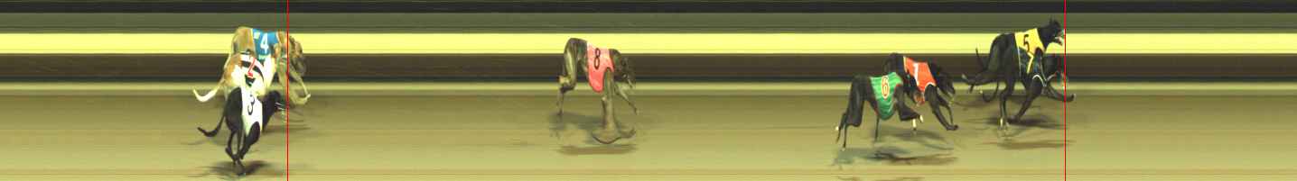 Photo finish for Warragul Race 11