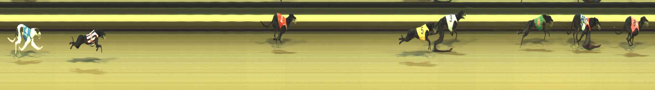 Race result finish photo