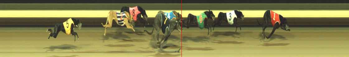 Photo finish for Warragul Race 3
