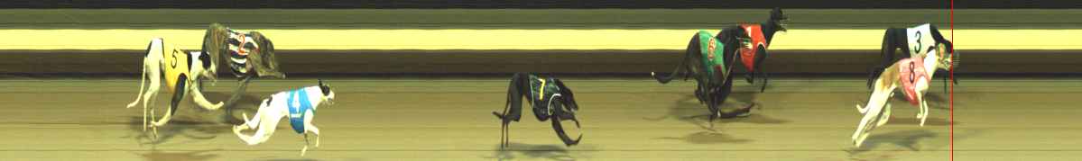 Photo finish for Warragul Race 4