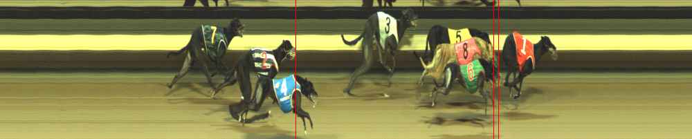 Photo finish for Warragul Race 5