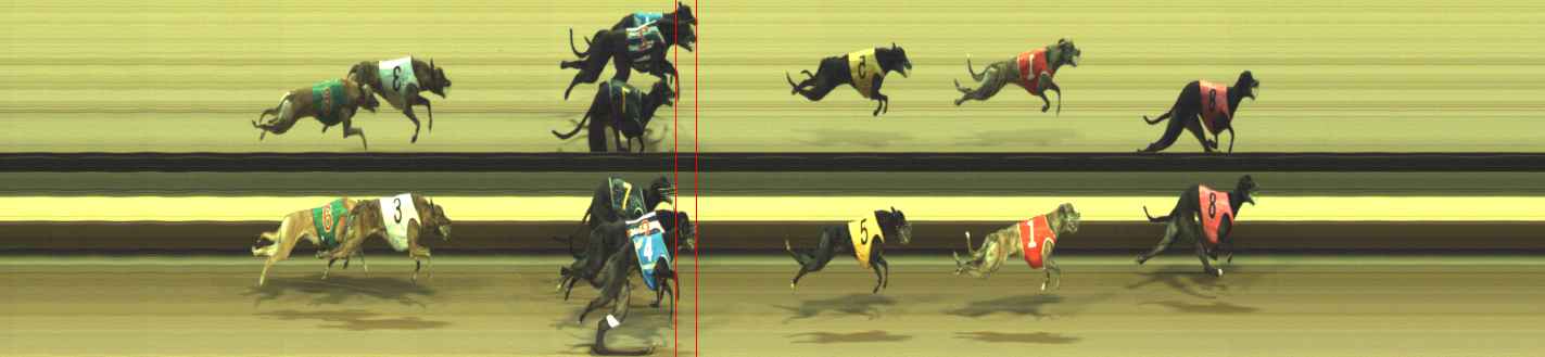 Photo finish for Warragul Race 7