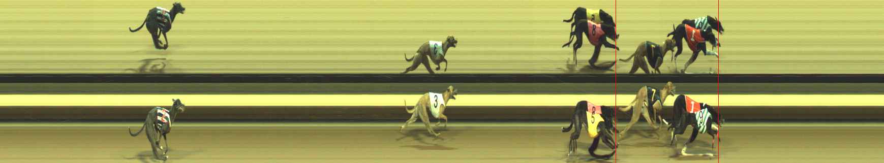 Photo finish for Warragul Race 8