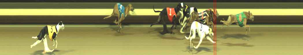 Photo finish for Warragul Race 9