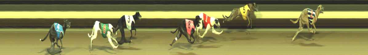 Photo finish for Warragul Race 11
