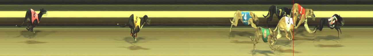 Photo finish for Warragul Race 12