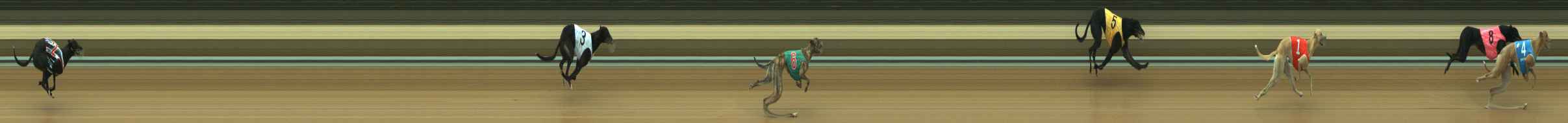 Photo finish for Warragul Race 1