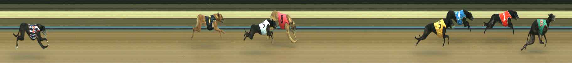 Photo finish for Warragul Race 2