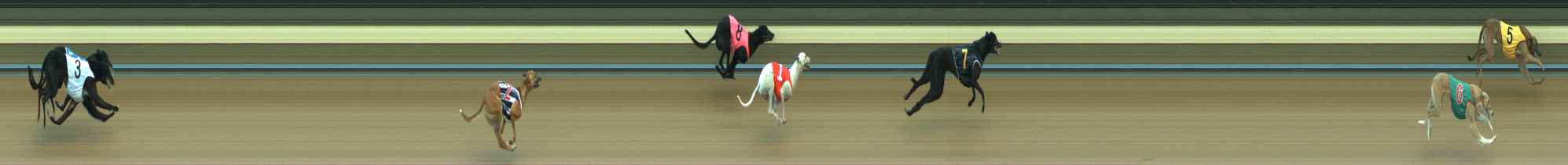 Photo finish for Warragul Race 3