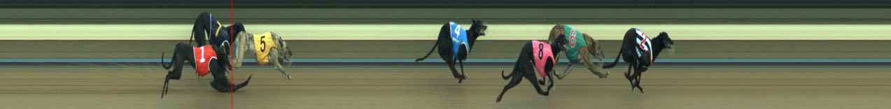 Photo finish for Warragul Race 5