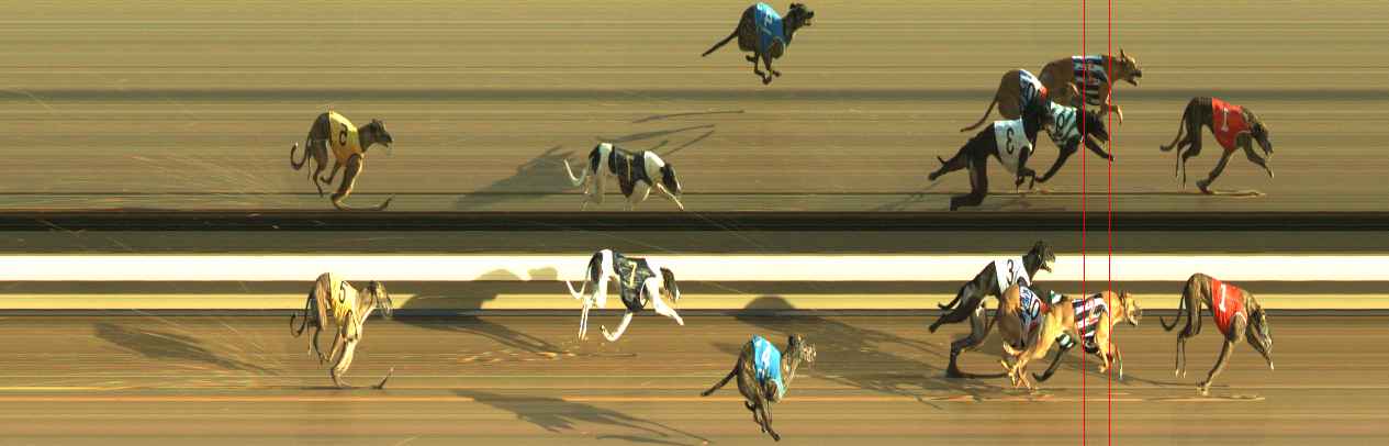 Photo finish for Warragul Race 6