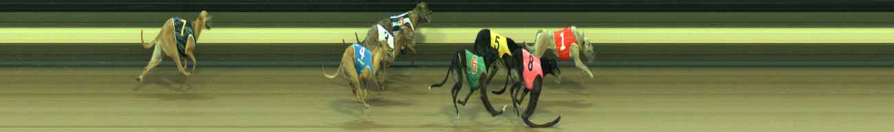 Photo finish for Warragul Race 8