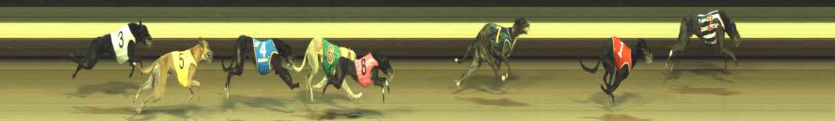 Photo finish for Warragul Race 10