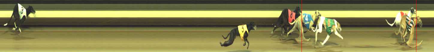 Photo finish for Warragul Race 11