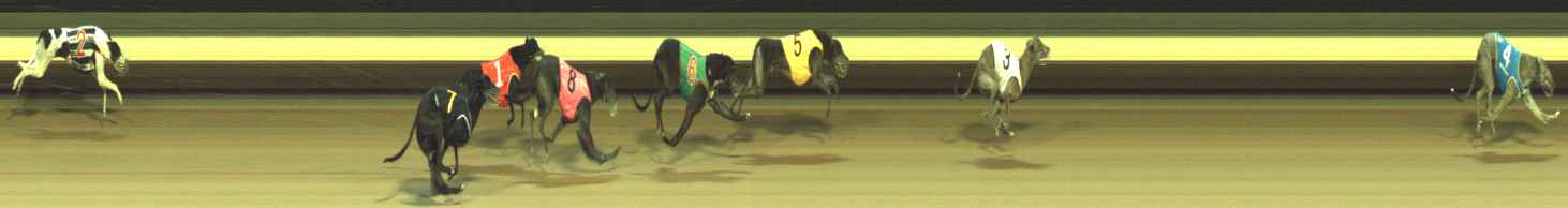 Photo finish for Warragul Race 12