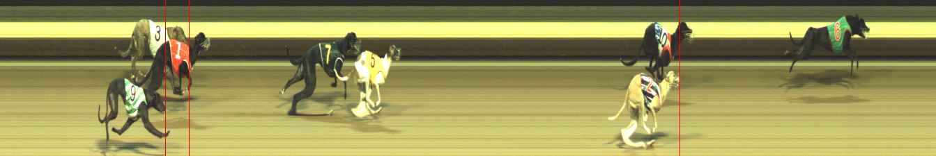 Photo finish for Warragul Race 1