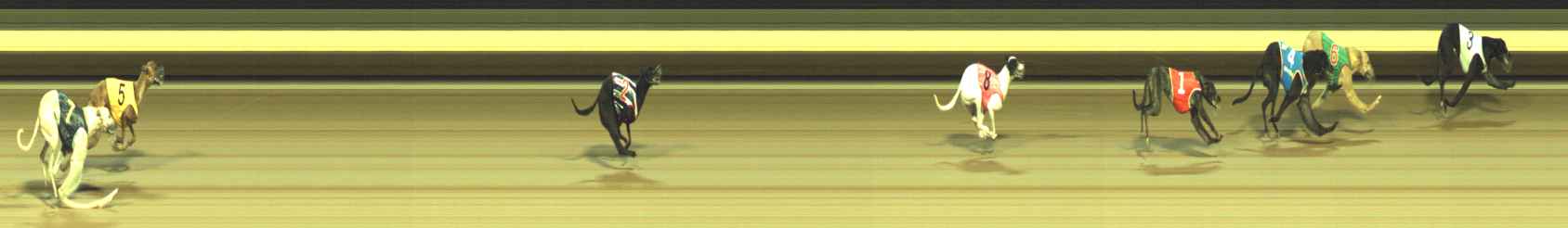 Photo finish for Warragul Race 2