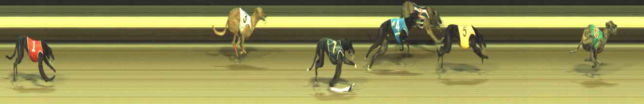 Photo finish for Warragul Race 5