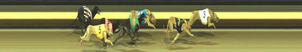Photo finish for Warragul Race 6