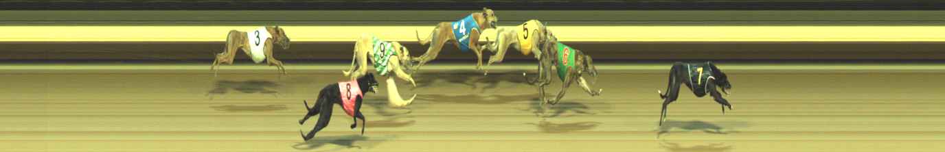 Photo finish for Warragul Race 7