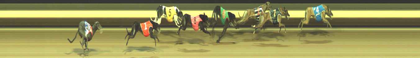 Photo finish for Warragul Race 8