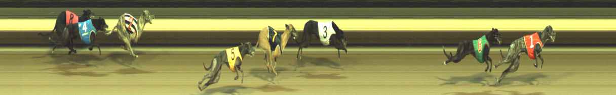 Photo finish for Warragul Race 9