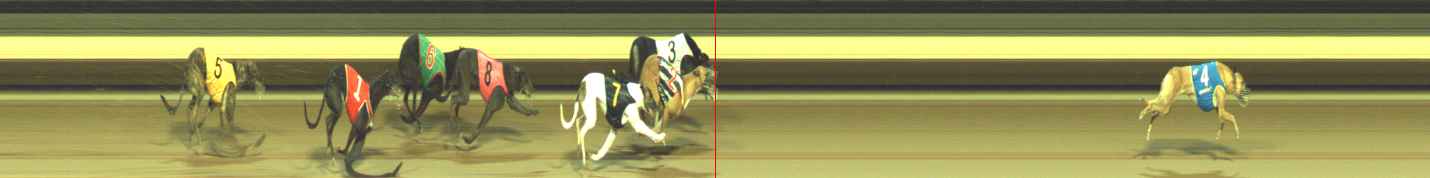 Photo finish for Warragul Race 10