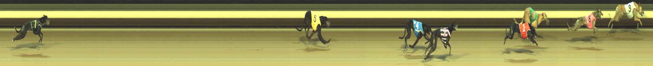 Photo finish for Warragul Race 11