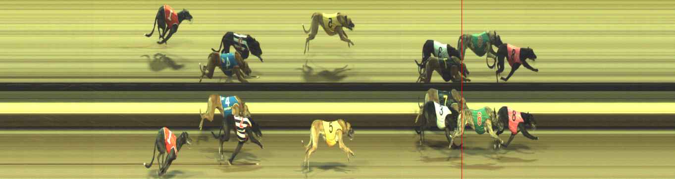 Photo finish for Warragul Race 12