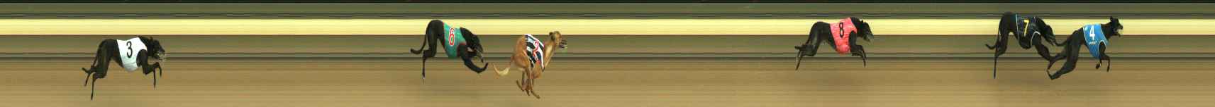 Photo finish for Warragul Race 2