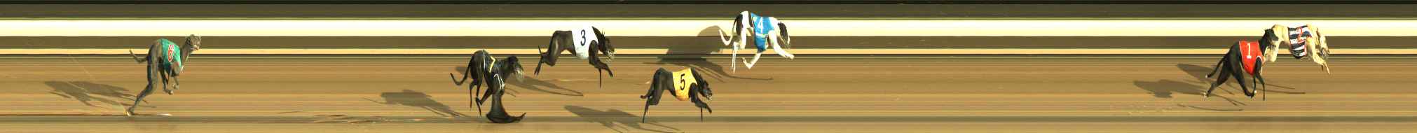 Photo finish for Warragul Race 3