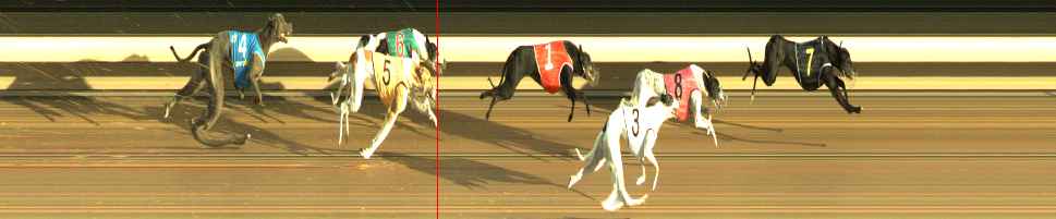 Photo finish for Warragul Race 5