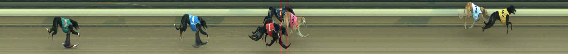 Photo finish for Warragul Race 7