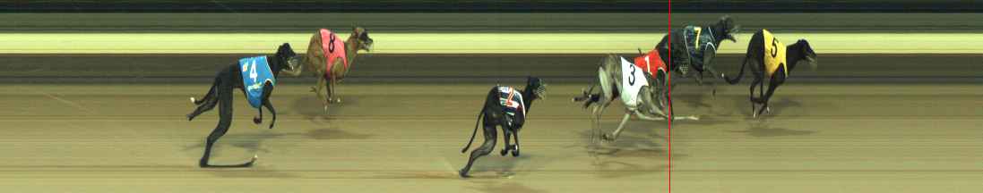 Photo finish for Warragul Race 8