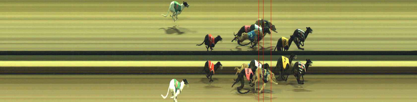 Photo finish for Warragul Race 9