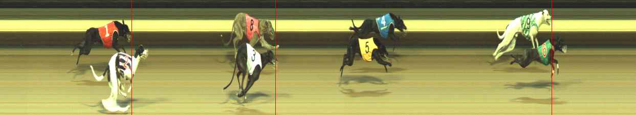 Photo finish for Warragul Race 10