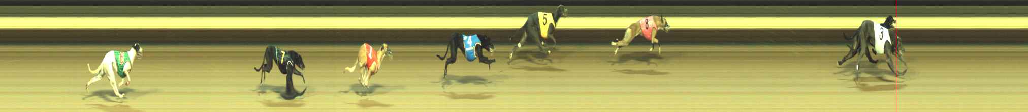 Photo finish for Warragul Race 11